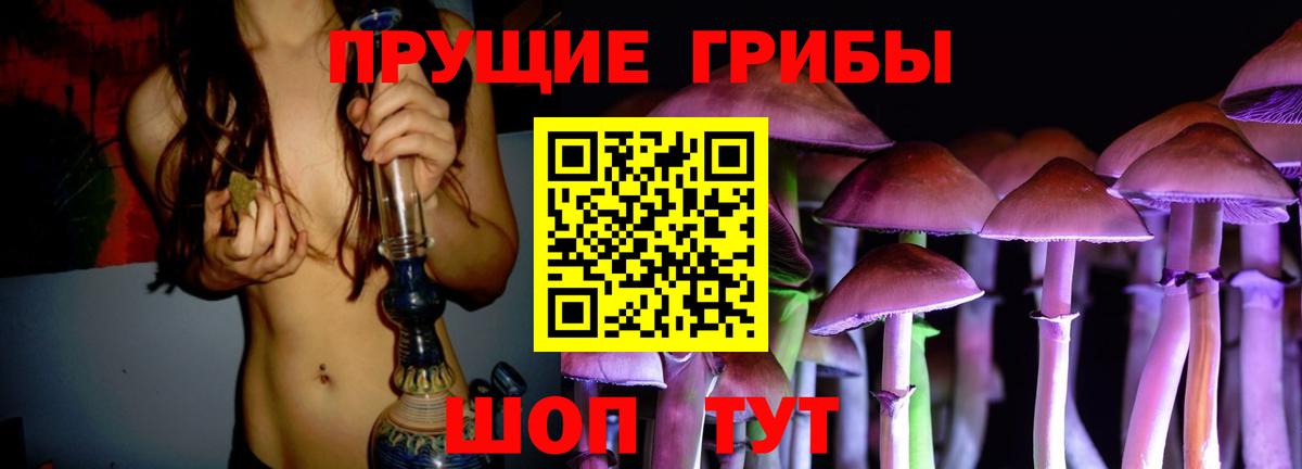 Псилоцибиновые грибы Psilocybe Домодедово