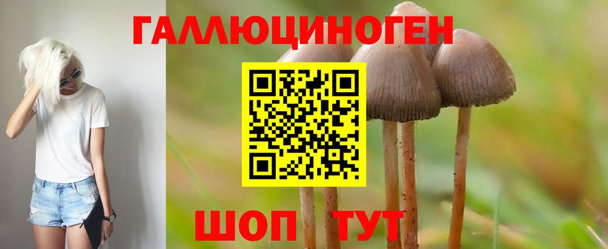 Псилоцибиновые грибы MAGIC MUSHROOMS  Вход с VPN  Домодедово 